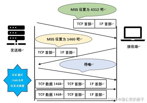 計(jì)算機(jī)網(wǎng)絡(luò)技術(shù)服務(wù) 支撐數(shù)字時(shí)代的無(wú)形支柱
